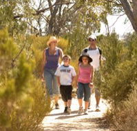 Long Island Caravan Park Cabins - Accommodation Burleigh