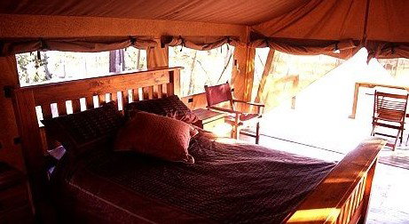 Jabiru Safari Lodge At Mareeba Wetlands - Accommodation Burleigh 1