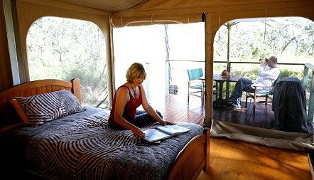 Jabiru Safari Lodge At Mareeba Wetlands - Accommodation Burleigh 2
