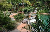Galvins Edge Hill Bed And Breakfast - Accommodation Burleigh 5