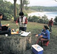 Fortescue Bay Camping Ground - Accommodation Burleigh