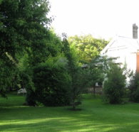 Oakdene Heritage Accommodation - Accommodation Burleigh