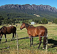 Hurlfield Farm Cottage - Accommodation Burleigh