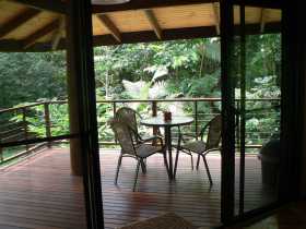 Cape Trib Exotic Fruit Farm Bed And Breakfast - Accommodation Burleigh 0