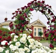 Golden Embers Apartments and B and B - Accommodation Burleigh