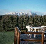 White Hawk Accommodation - Accommodation Burleigh