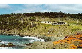 Kabuki By The Sea - Accommodation Burleigh 0