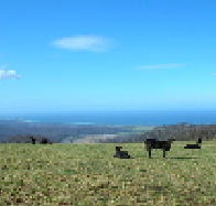St Marys Seaview Farm - Accommodation Burleigh