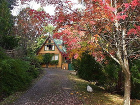 Woodbridge Hill Cottage - Accommodation Burleigh 0