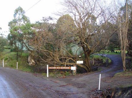 Eaglehawk Neck Backpackers - Accommodation Burleigh 1