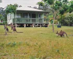 Berringer Lake Holiday Cottages - Accommodation Burleigh 0