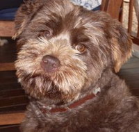 Lagoon Pocket Bed and Breakfast - Accommodation Burleigh