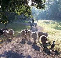 Brooloo Park - Accommodation Burleigh