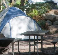Booderee National Park - Accommodation Burleigh