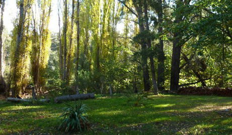 Old England Accommodation - Accommodation Burleigh 2