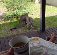 Bush and Bay Cottage - Accommodation Burleigh