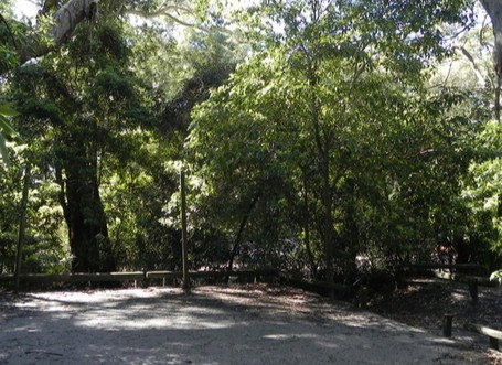 Booderee National Park: Green Patch Camping Area - Accommodation Burleigh 0