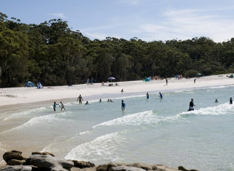 Booderee National Park: Green Patch Camping Area - Accommodation Burleigh 2