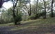 Booderee National Park: Green Patch Camping Area - thumb 3