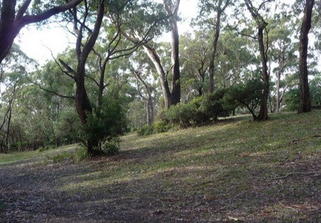 Booderee National Park: Green Patch Camping Area - Accommodation Burleigh 3