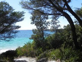 Booderee National Park: Bristol Point Camping Area - Accommodation Burleigh 2