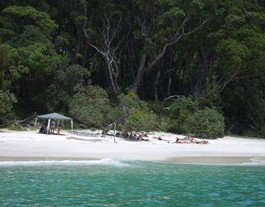 Booderee National Park: Bristol Point Camping Area - Accommodation Burleigh 3