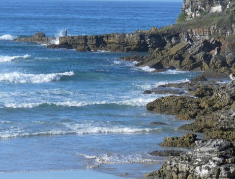 Booderee National Park: Cave Beach Camping Area - Accommodation Burleigh 2