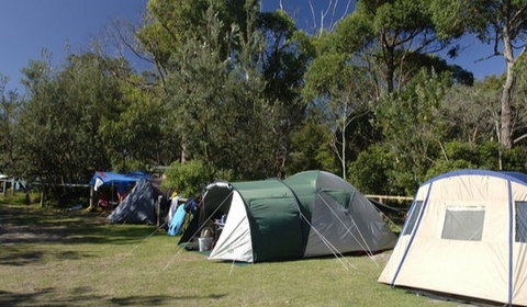 Booderee National Park: Cave Beach Camping Area - Accommodation Burleigh 3