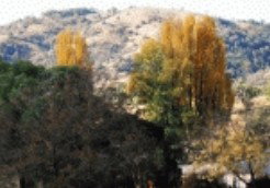 Piallamore NSW Accommodation Burleigh