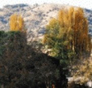 Birches Bed and Breakfast at Nundle - Accommodation Burleigh