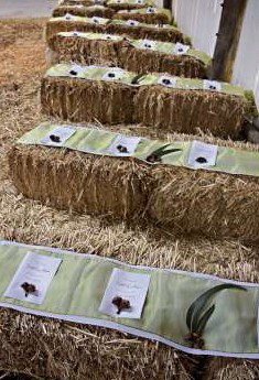 Bathurst Goldfields Accommodation - Accommodation Burleigh 0