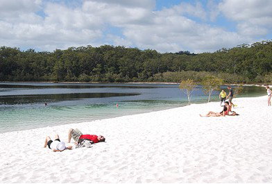 Whalecove Resort - Accommodation Burleigh 2