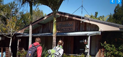 Woolshed Backpackers - Accommodation Burleigh 5