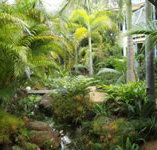 Chamomile Bed and Breakfast - Accommodation Burleigh