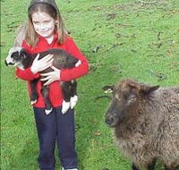 Cinnamon Coloureds Farmstay - Accommodation Burleigh