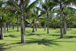 Barcaldine Tourist Park - Accommodation Burleigh 5