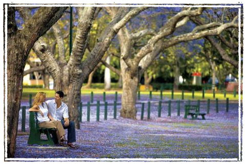 Kirkland House B&B - Accommodation Burleigh 3