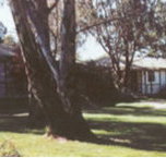 Winbi River Resort - Accommodation Burleigh