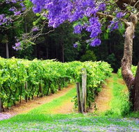 Bago Vineyards - Accommodation Burleigh