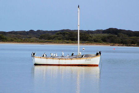 Riverview Cottage - Accommodation Burleigh 1