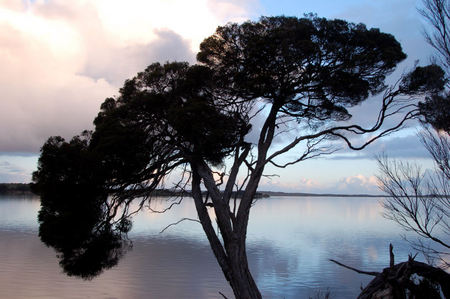 Riverview Cottage - Accommodation Burleigh 4