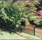 Apple Tree Cottage - Accommodation Burleigh