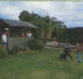 Tambo Lodge - Accommodation Burleigh