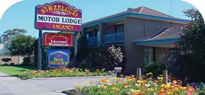 Strzelecki Motor Lodge - Accommodation Burleigh 0