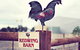Redwing Farm - The Barn - thumb 0