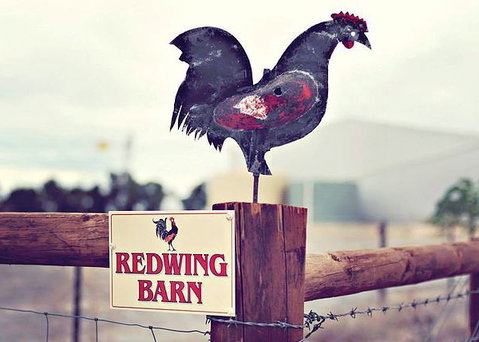 Redwing Farm - The Barn - Accommodation Burleigh 0