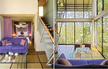 EcOasis - Accommodation Burleigh 1