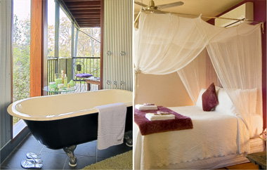 EcOasis - Accommodation Burleigh 2