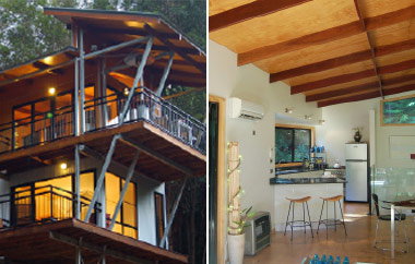 EcOasis - Accommodation Burleigh 3