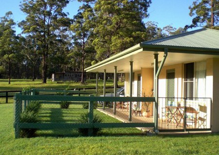 Neds Bed Horse O Tel - Accommodation Burleigh 1